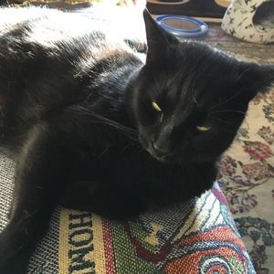 Meet your Posher, Fredda